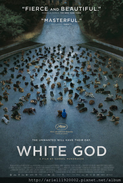 white-god-poster