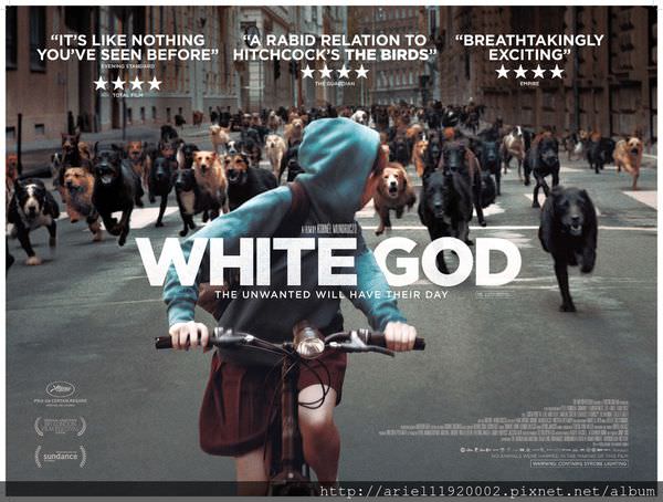 white-god-uk-quad-poster-